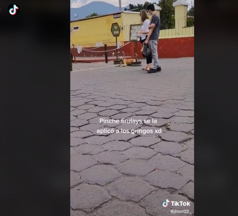 Perrito "simuló" discapacidad para que turistas le dieran agua y comida