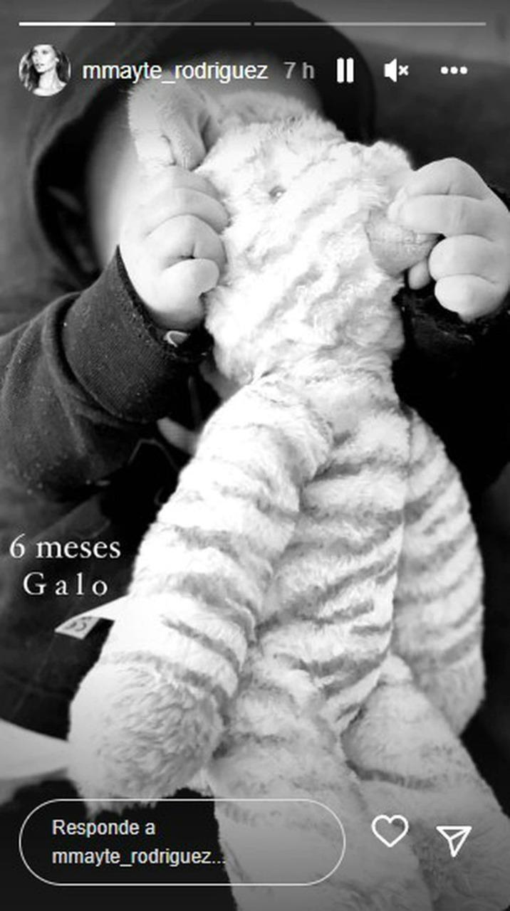 Hijo de Mayte Rodríguez