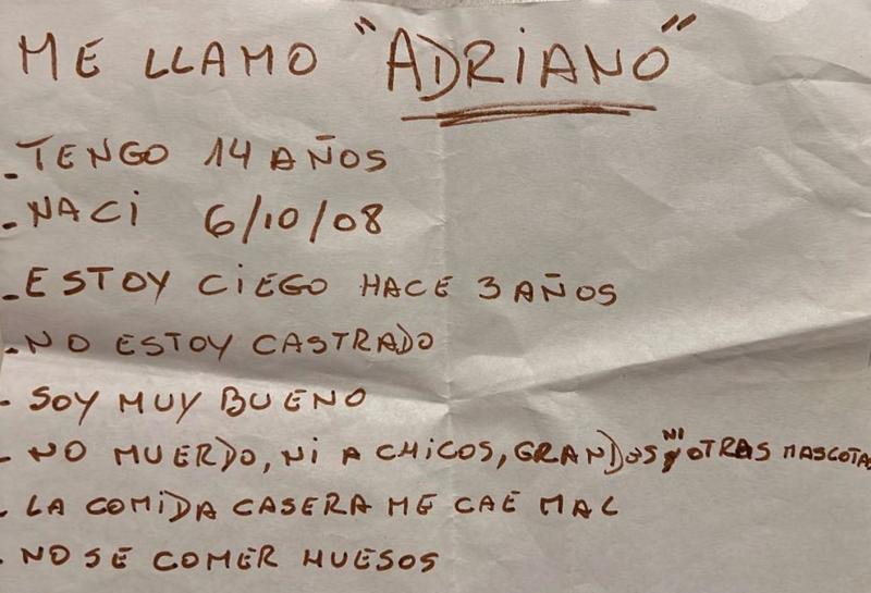 Todo quedó grabado: Joven abandonó a su perrito ciego y dejó una particular carta