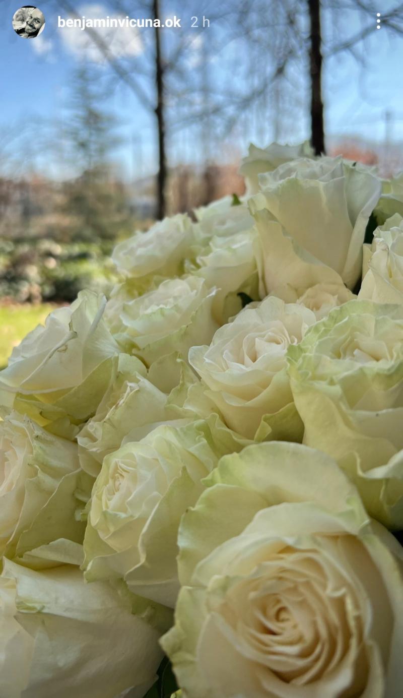 Rosas de Benjamín Vicuña