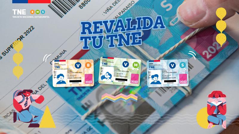 Hoy vence el plazo para revalidar la TNE:¿Dónde hacer el trámite?