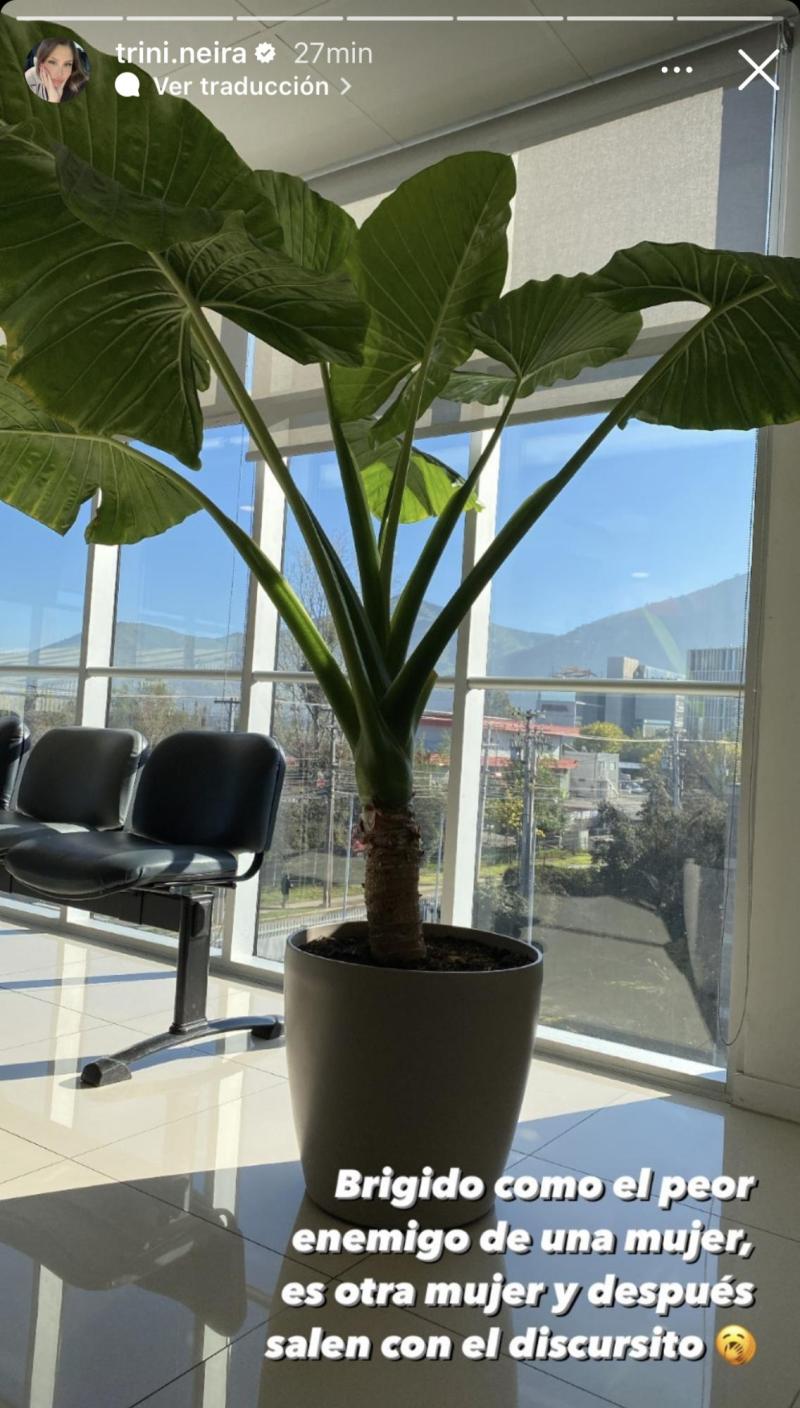 Trinidad Neira y su indirecta a Rocío Marengo