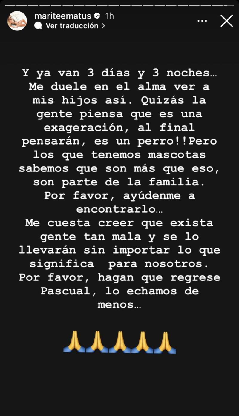 Marité Matus pide ayuda en redes sociales para encontrar a su perrito