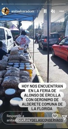 Anita Alvarado retoma su vida