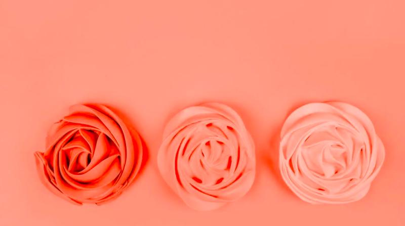 Pigmentación vaginal