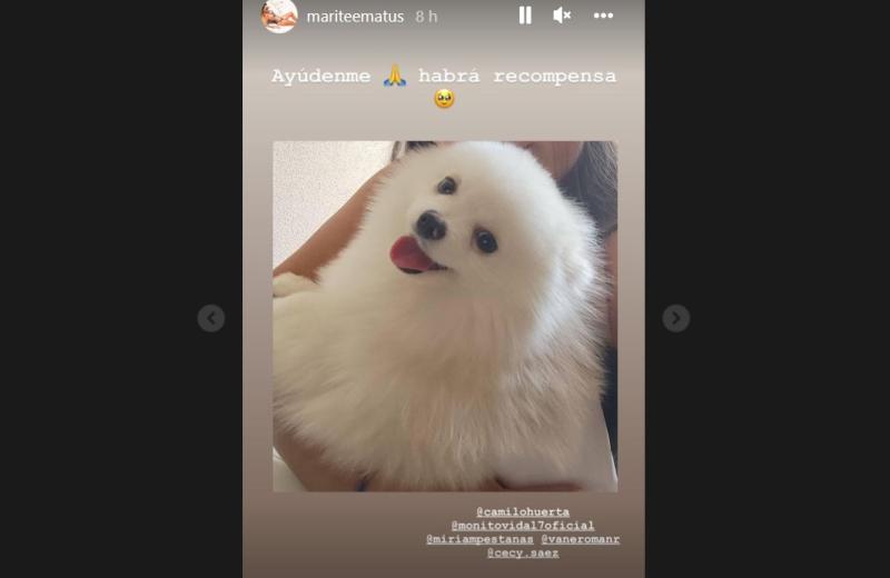 Instagram de Marité Matus