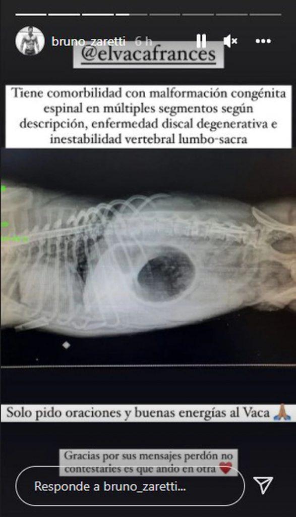 Bruno Zaretti se sinceró sobre la enfermedad de su perro