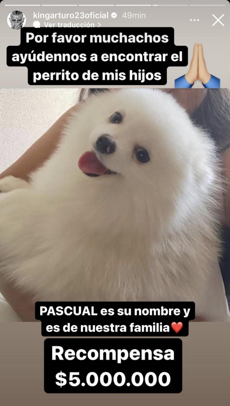 Marité Matus y Arturo Vidal ofrecen recompensa para encontrar a su perro