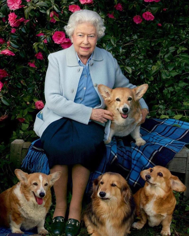 Reina Isabel II junto a sus mascotas
