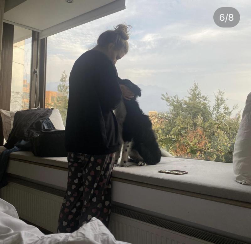 Pedro Campos - Instagram