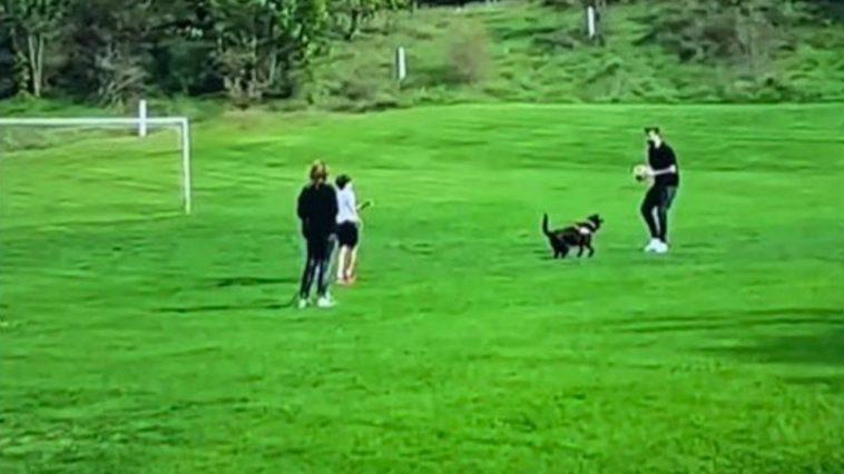 Captura del programa "El Gordo y La Flaca"