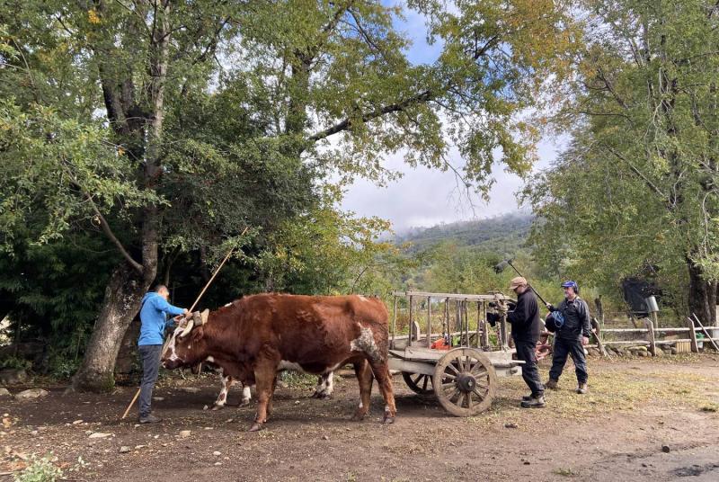 Años después, ¿con qué sueñas?