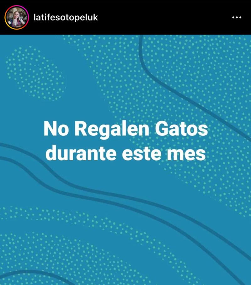 La especial advertencia de Latife Soto para lo que queda de octubre