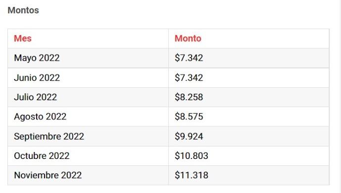 Aporte Canasta Básica: Monto aumenta en noviembre