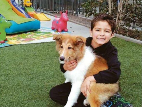 Pequeño enternece al pedir donaciones para perritos sin hogar en vez de regalos de cumpleaños