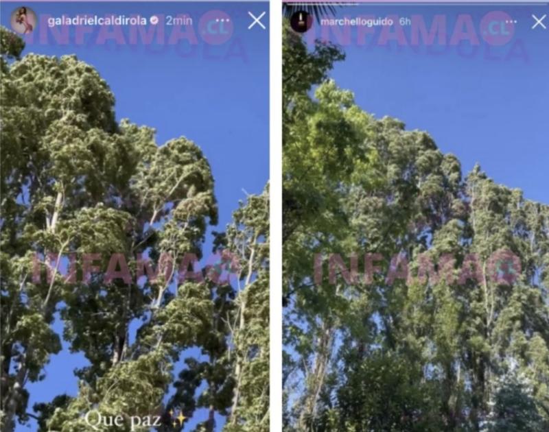 Mauricio Pinilla y Gala Caldirola habrían compartido en familia