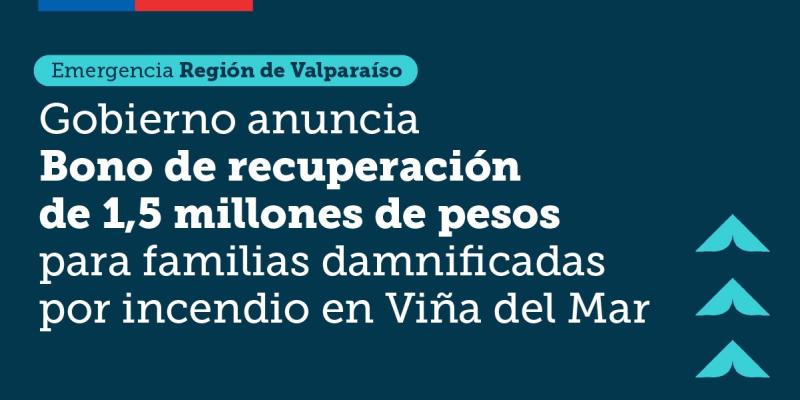 Gobierno anuncia Bono de Recuperación para afectados por incendio en Viña