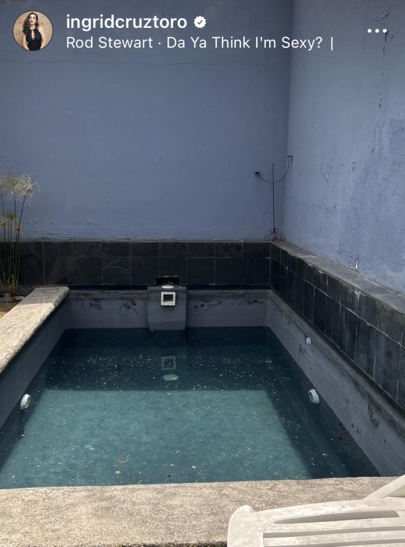 Ingrid Cruz muestra el antes de su jardín y piscina