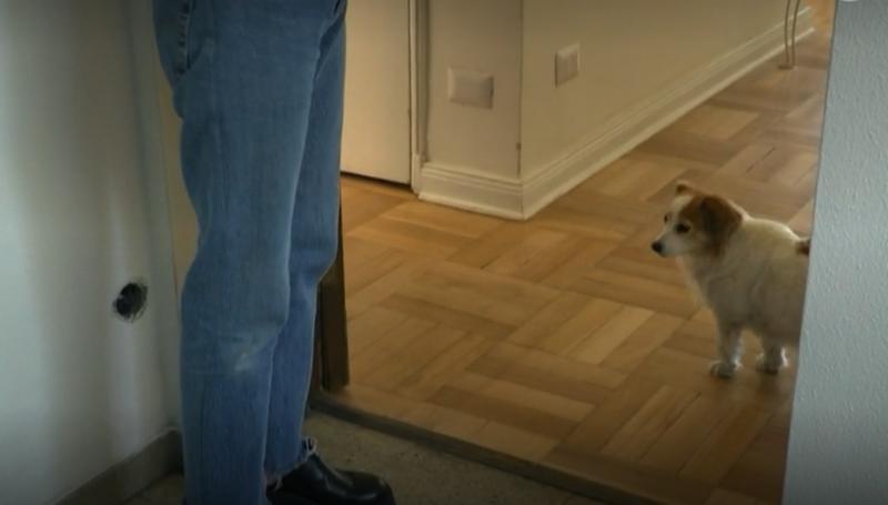 Departamento de Camila Hirane en "La Divina Comida"