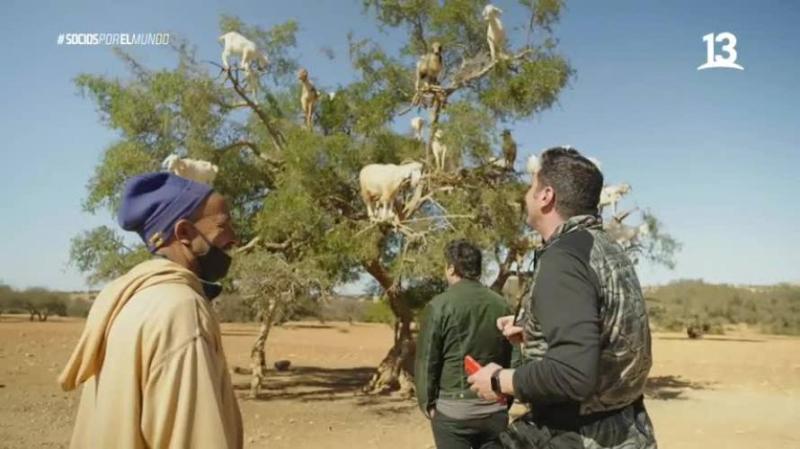 Mira cuáles fueron los lugares más impactantes que conocieron Pancho y Zabaleta en "Socios por el mundo"