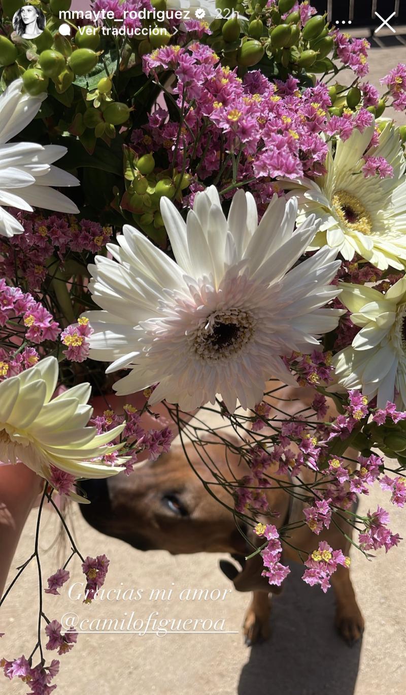 Mayte Rodríguez - Instagram