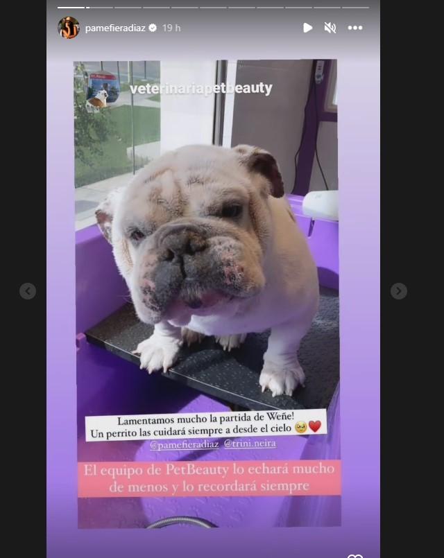 Instagram de Pamela Díaz