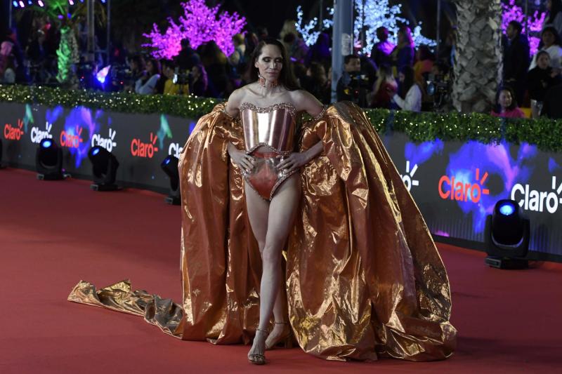 Di Mondo desfila por la alfombra roja de Viña