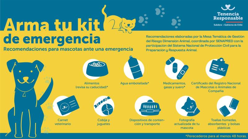 ¿Qué hacer en caso de tener que evacuar por un incendio forestal?: estas son las recomendaciones