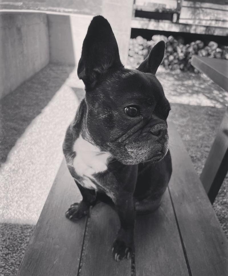 Camila Andrade - Instagram