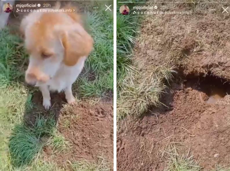 María José Quintanilla