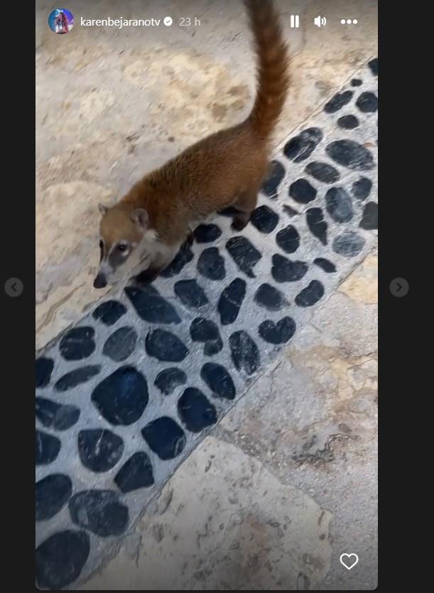 Instagram de Karen Bejarano