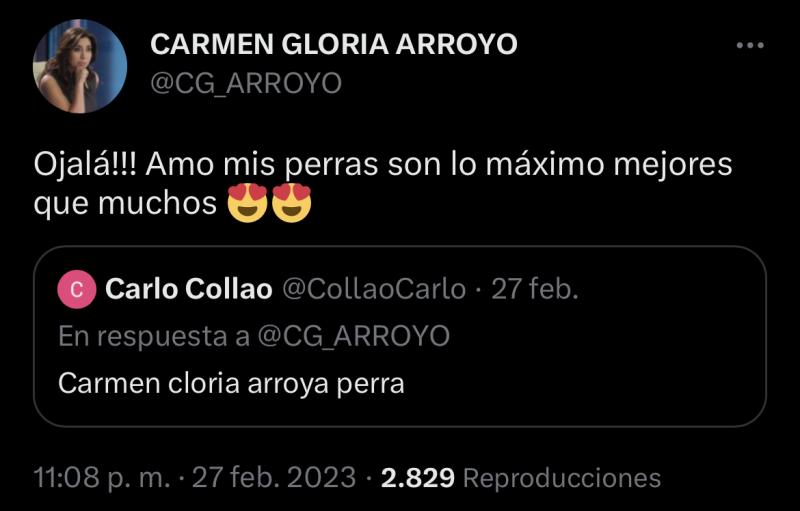 Carmen Gloria Arroyo - Twitter