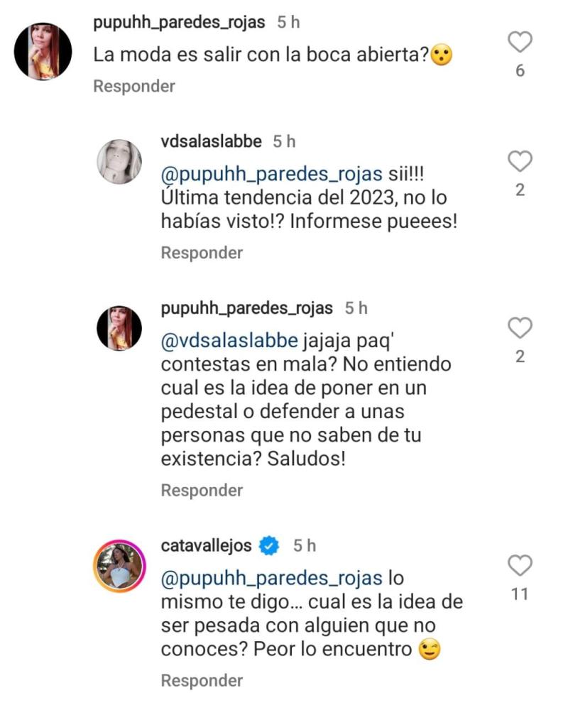 Pelea Instagram Cata Vallejos