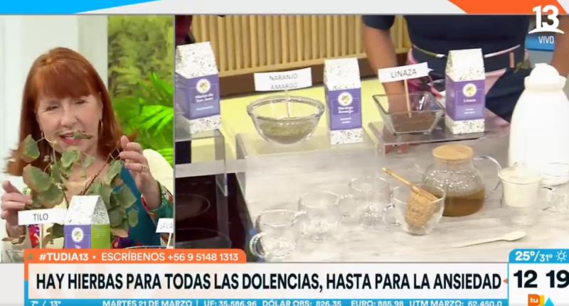 Hierbas para todas las dolencias