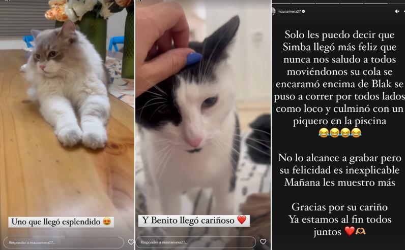 Historias Maura Rivera