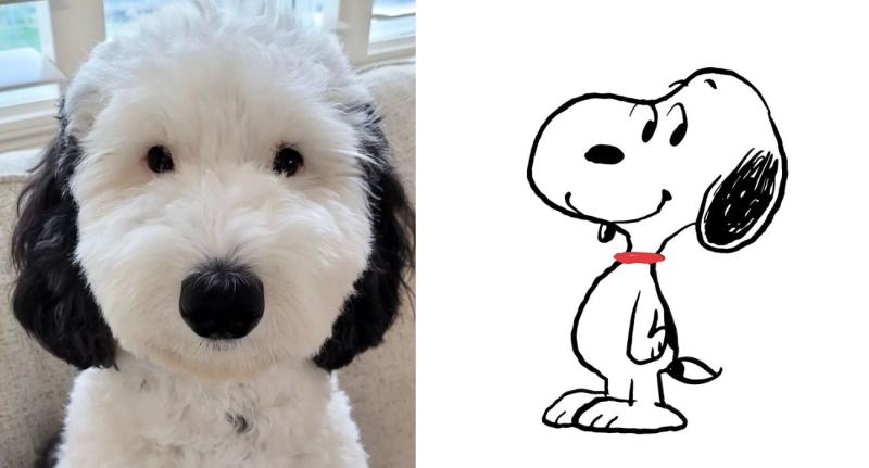 Perrita es igual Snoopy