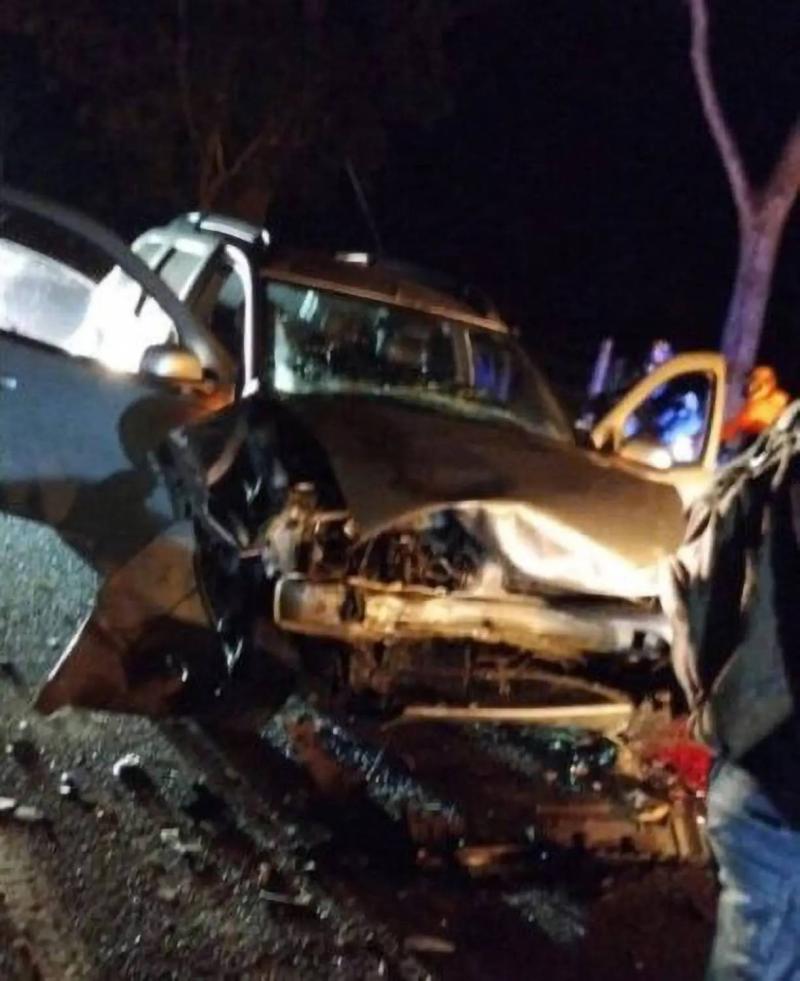 Hipopótamo de Pablo Escobar muere en accidente de tránsito