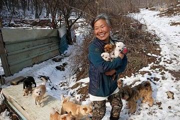 Mujer rescató a más de 200 cachorros