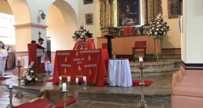 Perrito se robó el pan en plena misa