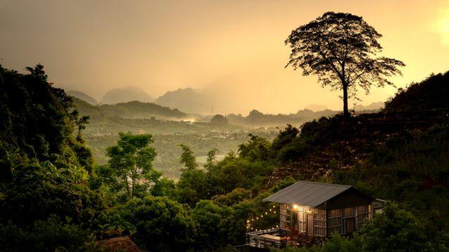 Bosque tropical por asteroide