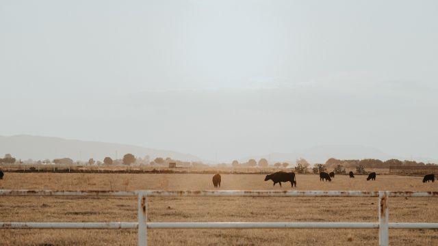 México siembra nubes