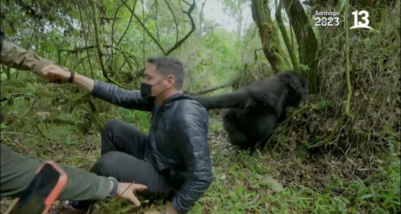 Pancho Saavedra casi es raptado por un gorila