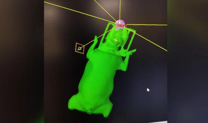 Perro con cáncer - Créditos: BioBio Chile