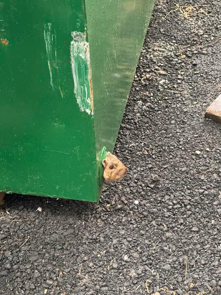 PETERBOROUGH FIRE AND RESCUE