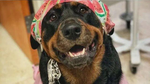 Loki vestido de doctora