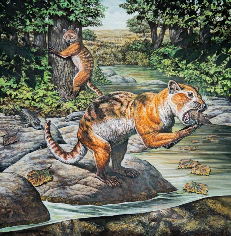 ILUSTRACIÓN DE MARK HALLETT