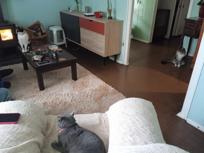 Living de dos mujeres chilenas conviviendo