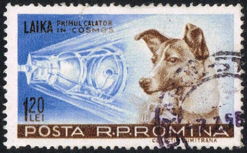 LAIKA EN POSTAL DE LA UNIÓN SOVIÉTICA