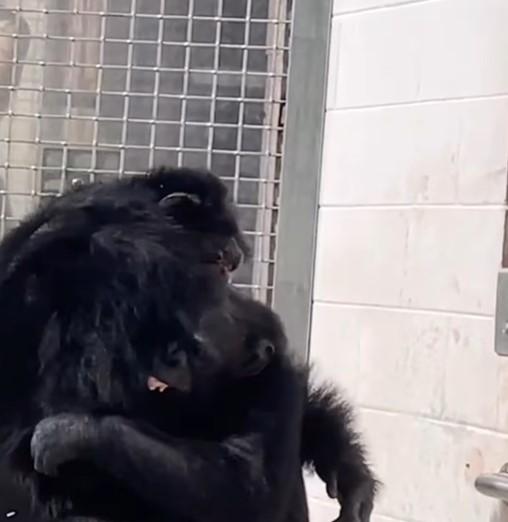 ABRAZO ENTRE DWIGHT Y VANILLA