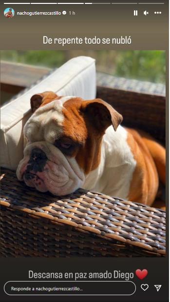 Ignacio Gutiérrez se despide de su amado perrito.